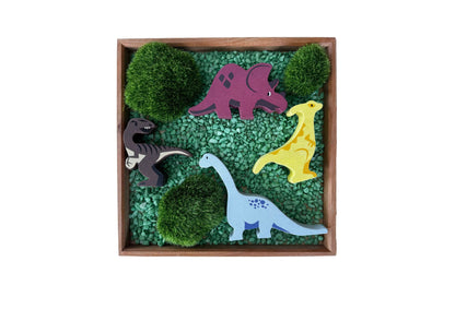 Dinosaur Explore Kit